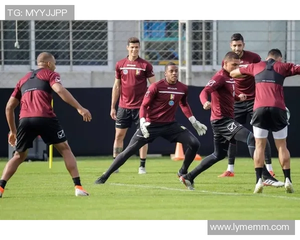 巴西与玻利维亚角球数对比分析及比赛影响探讨