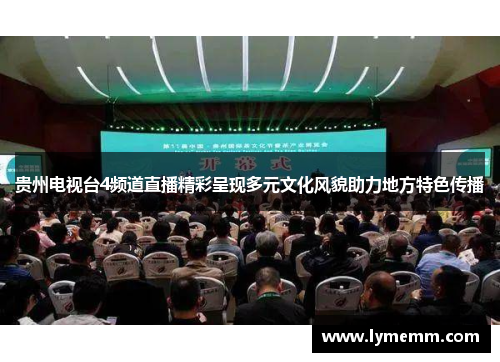 贵州电视台4频道直播精彩呈现多元文化风貌助力地方特色传播