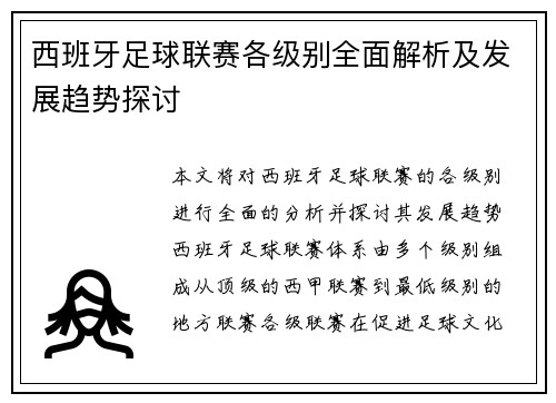 西班牙足球联赛各级别全面解析及发展趋势探讨